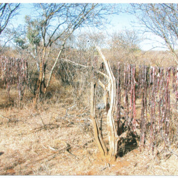 2025 hunting season dates, regulations announced