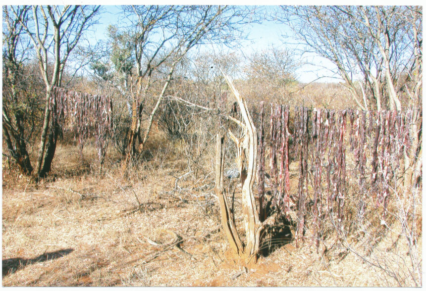 2025 hunting season dates, regulations announced