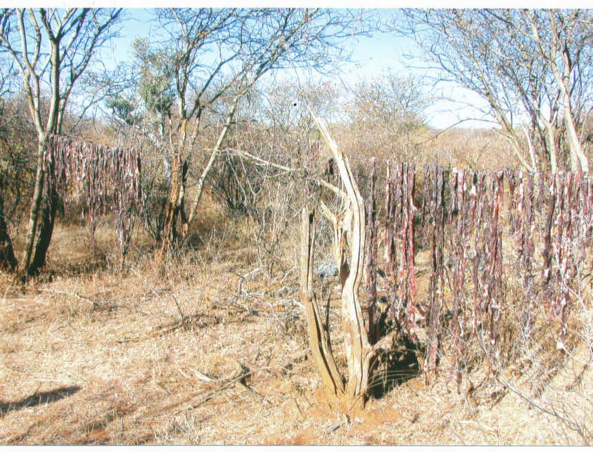 NM20101111015.jpg 2025 hunting season dates, regulations announced