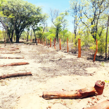 Kavango West: 56 illegal fences flagged 