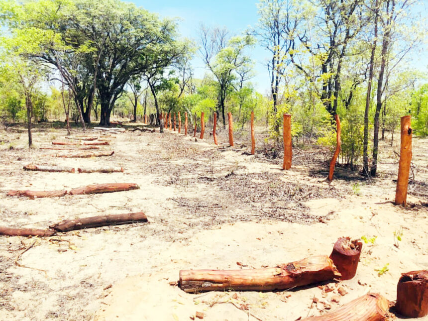 Kavango West: 56 illegal fences flagged 