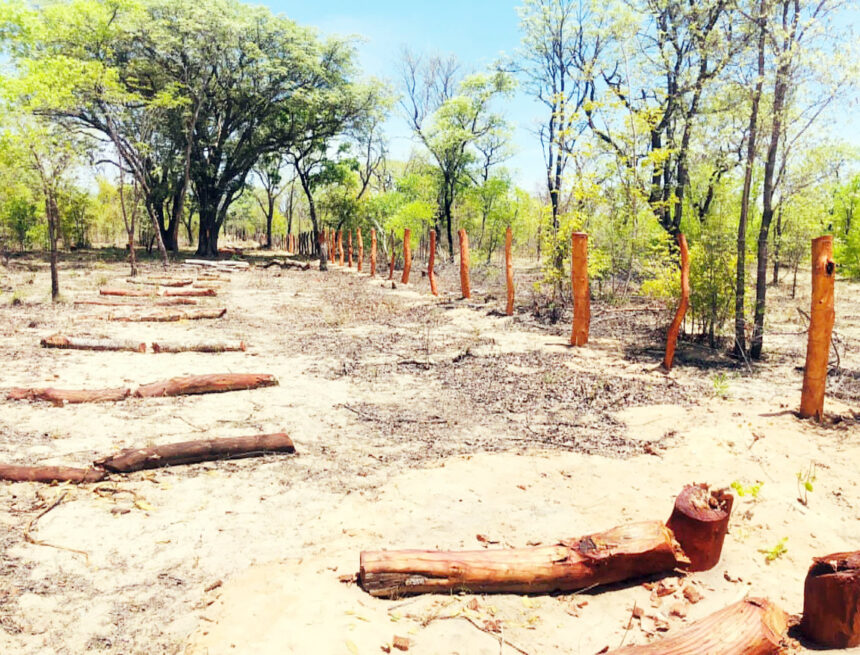 Kavango West: 56 illegal fences flagged 