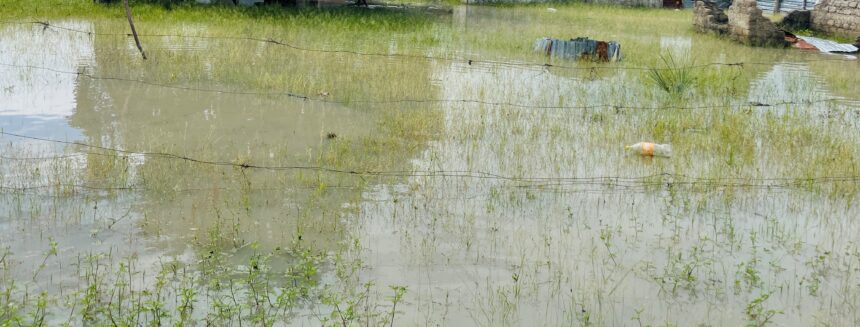 Omukainhu a xulifila momeva nokaana kaye ke li modikwa  …Vati okwa li tava i koshipangelo 