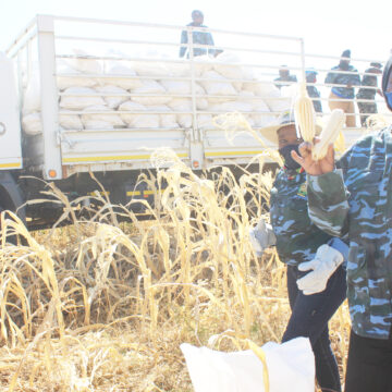 China’s ambassador visits NYS centre 