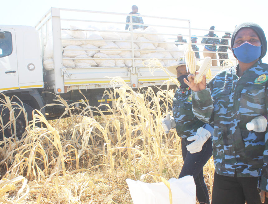 China’s ambassador visits NYS centre 