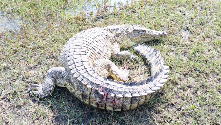 ‘Oye a hindi ongandu – ita futwa’ 