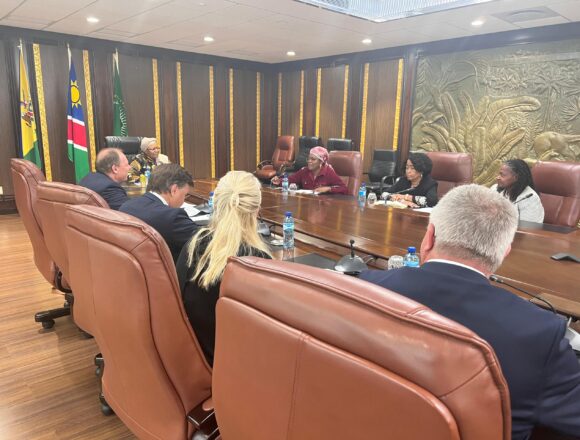 Namibia ready for business, President tells Norwegian energy delegation