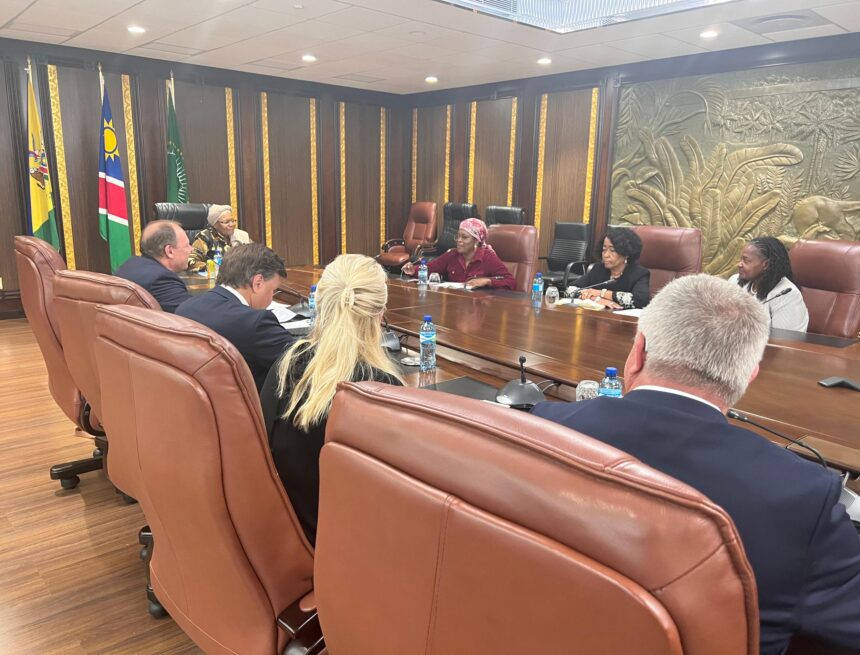 Namibia ready for business, President tells Norwegian energy delegation