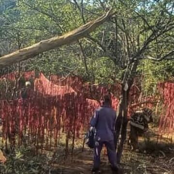 Ozongombe o-30 za kavazerwe ozombyatua 