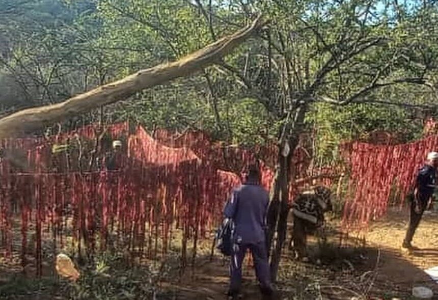 Ozongombe o-30 za kavazerwe ozombyatua 