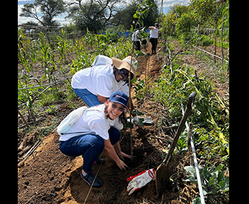 Capricorn bolster food production efforts