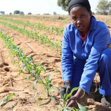 Tax reforms can propel key sectors …signify long-term economic structural shift