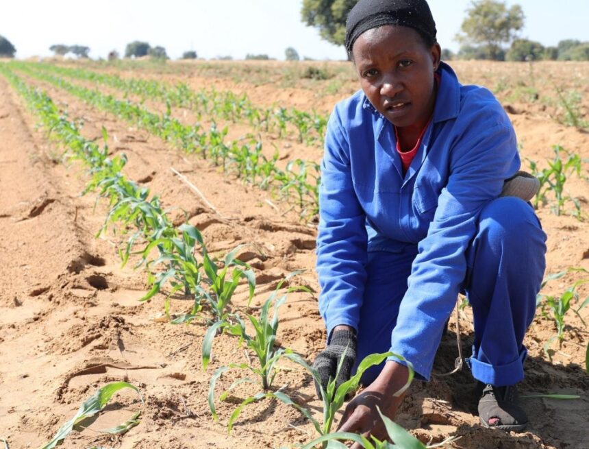 Tax reforms can propel key sectors …signify long-term economic structural shift