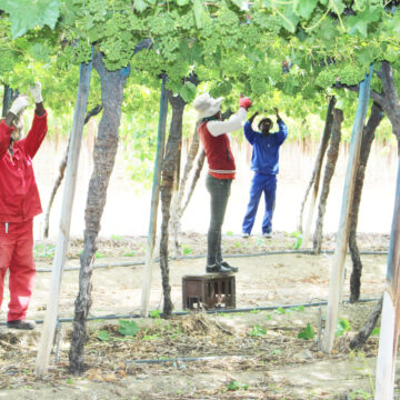 MP wants Orange River irrigation revived