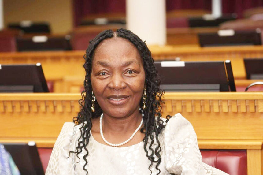 Govt budget execution lags