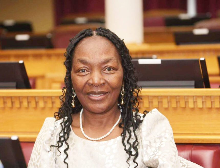 Shafudah defends budget, assures economic stability 