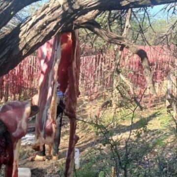 Vane moipandeko molwoumbudi nedipao leenghwandabi 30 