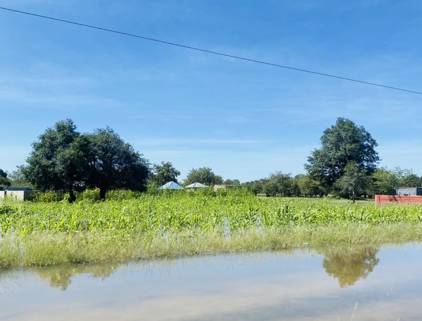 Still the same-1 Ondjele yomeva inai lunduluka natango mOhangwena …Kape na oukutu voufila wepungu ile womahangu