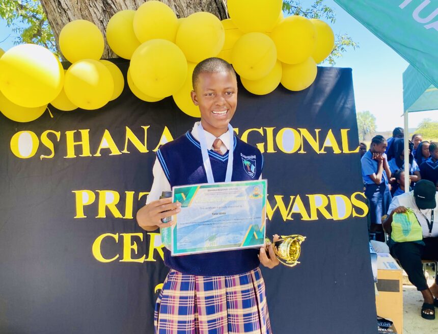 Second computing school mooted for Oshana … region awards top performers
