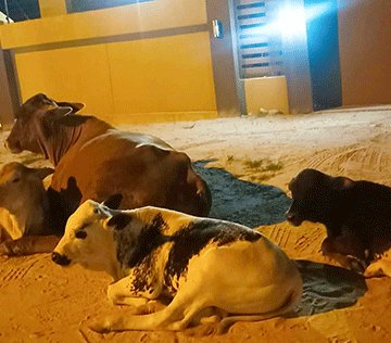 MOngwediva nOshakati otamu pashiyona oimuna nai …Ovakalimo ova ‘lulilwa’