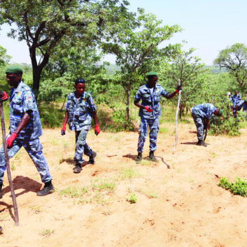 Tsumkwe illegal fences’ removal faces extension