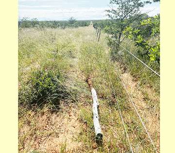 Illegal-Fences Villagers forcefully remove ‘illegal’ fence