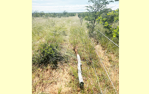 Villagers forcefully remove ‘illegal’ fence