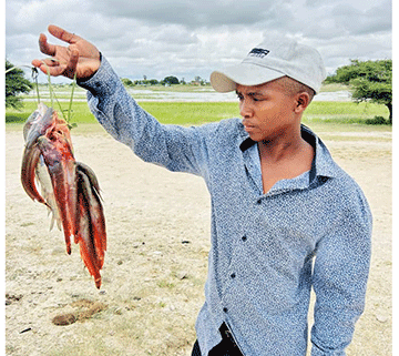 Efundja lya eta uuhupilo