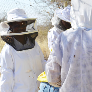 Honeybees: Guardians of Namibia’s ecosystem