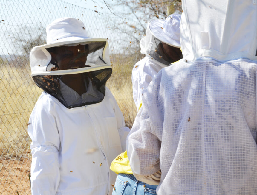 Honeybees: Guardians of Namibia’s ecosystem