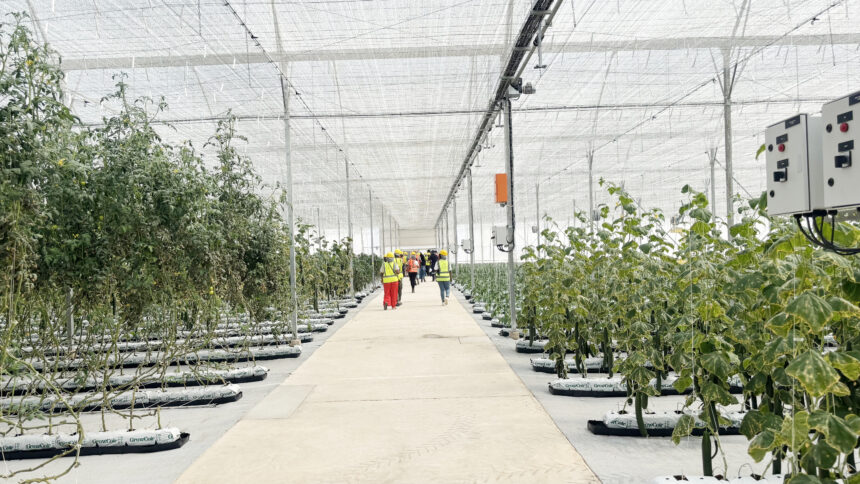 Namibia’s carbon strategy 