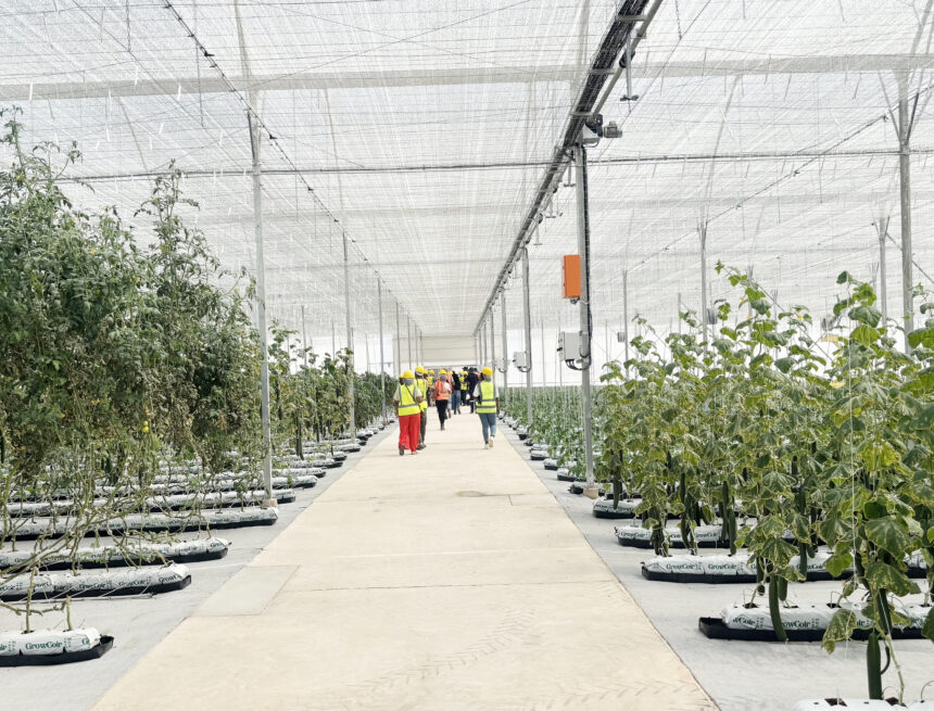 Namibia’s carbon strategy 