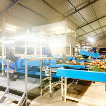 NAB to invest N$250m in citrus sector expansion …aims to cut N$57.6m in annual imports 