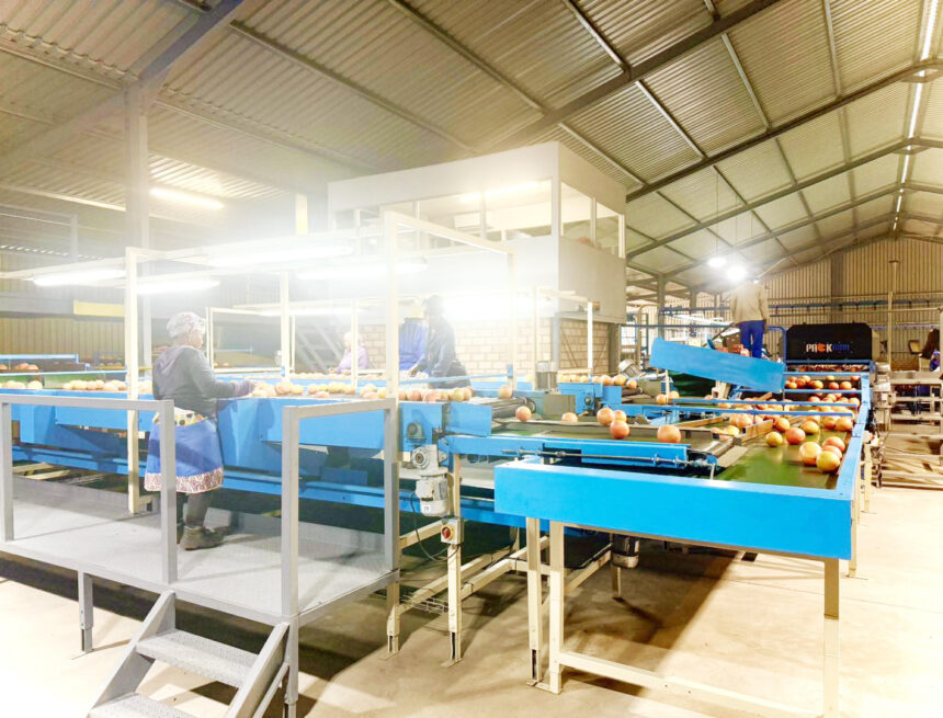 NAB to invest N$250m in citrus sector expansion …aims to cut N$57.6m in annual imports 