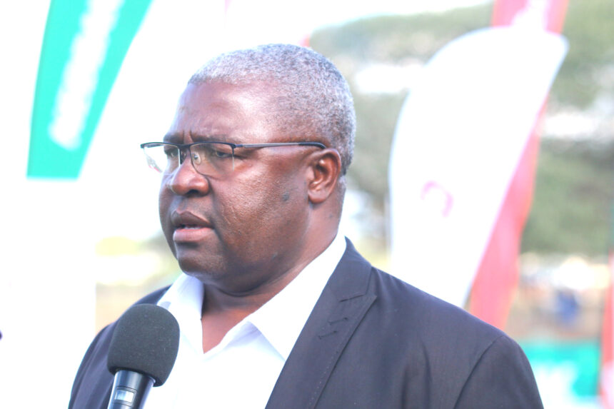 Shimooshili to represent Namibia at Fifa congress