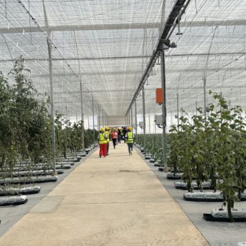 Nations implored to lead climate fight