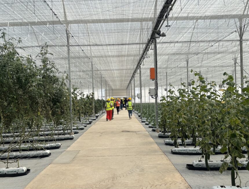 Nations implored to lead climate fight