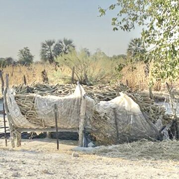 Ka xulifa eshi vati ka wilwa komutala woilya 