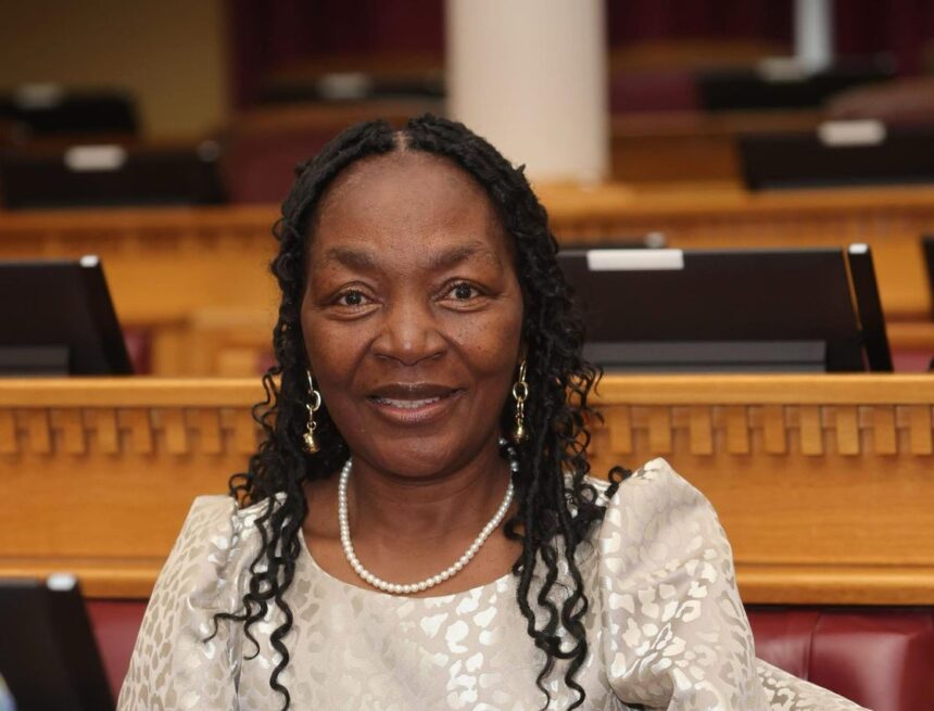 Namibia’s N$7.2b social buffer