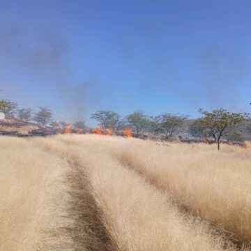 MET a kumagidha oshigwana shi kotokele epeya