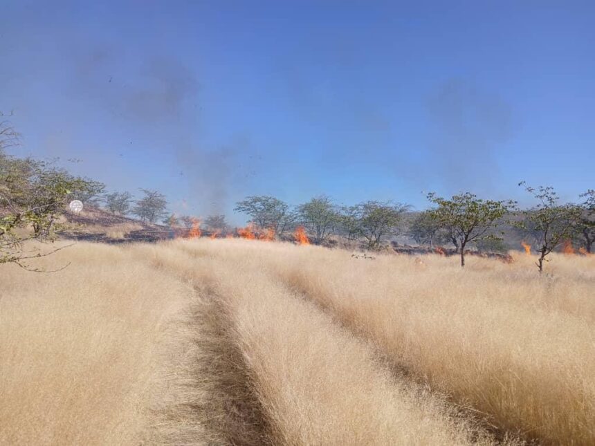 Fire MET a kumagidha oshigwana shi kotokele epeya