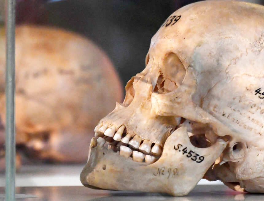 Historic Genocide Remembrance Day tomorrow