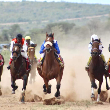 Local horses to grace Opuwo Trade Fair