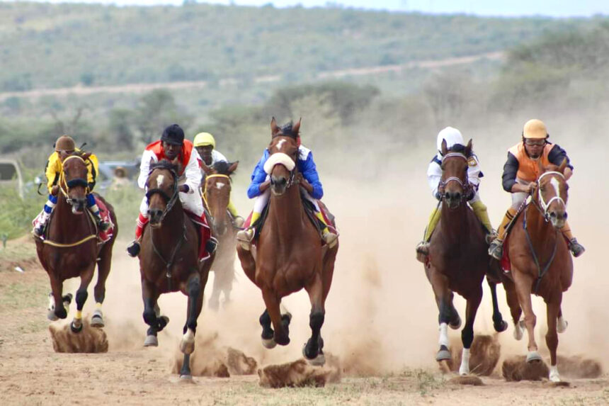 Local horses to grace Opuwo Trade Fair