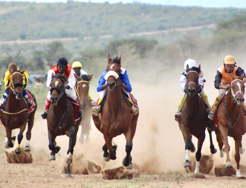 Local horses to grace Opuwo Trade Fair