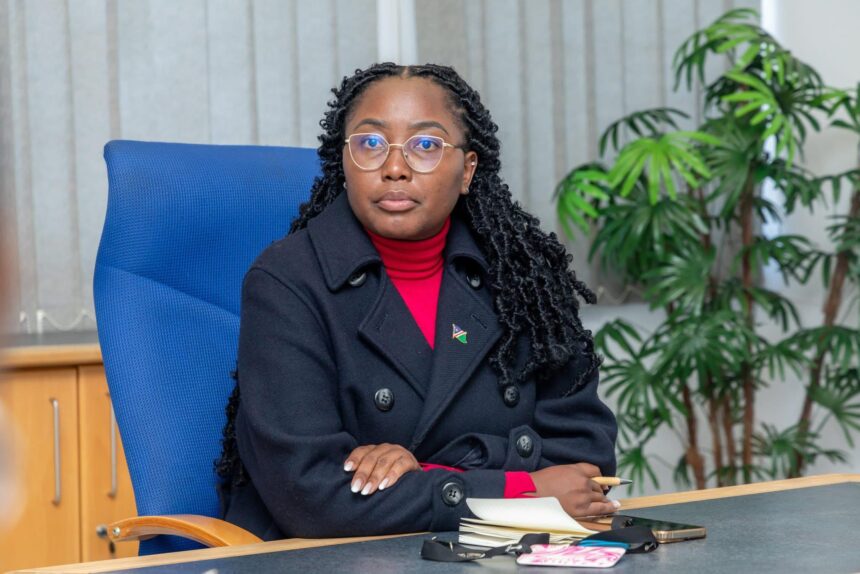 Misinformation threatens opportunities – Theofelus