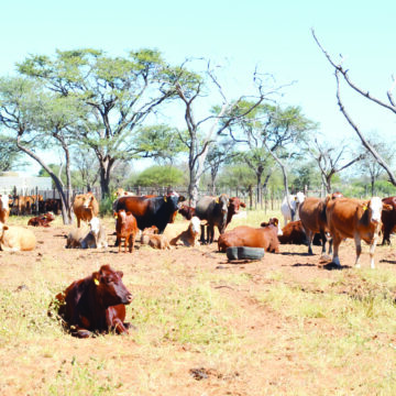 Land acquisition fund in shambles …misdirected funds, overstated financial reports 