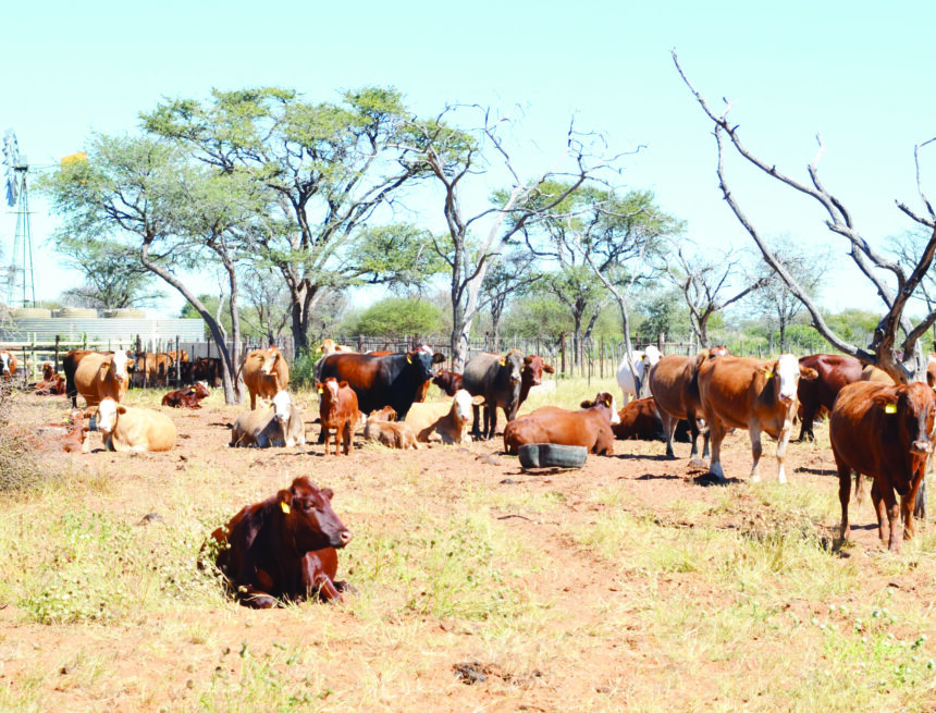 Land acquisition fund in shambles …misdirected funds, overstated financial reports 