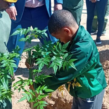Mariental Mariental schools plant trees as tribute to Nujoma