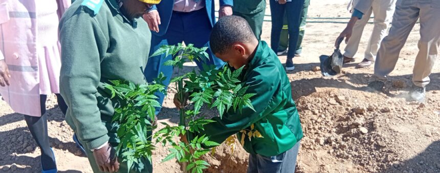 Mariental schools plant trees as tribute to Nujoma